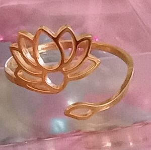 🄰🄳🄹🅄🅂🅃🄰🄱🄻🄴 🄶🄾🄻🄳 🄻🄾🅃🅄🅂 🅁🄸🄽🄶